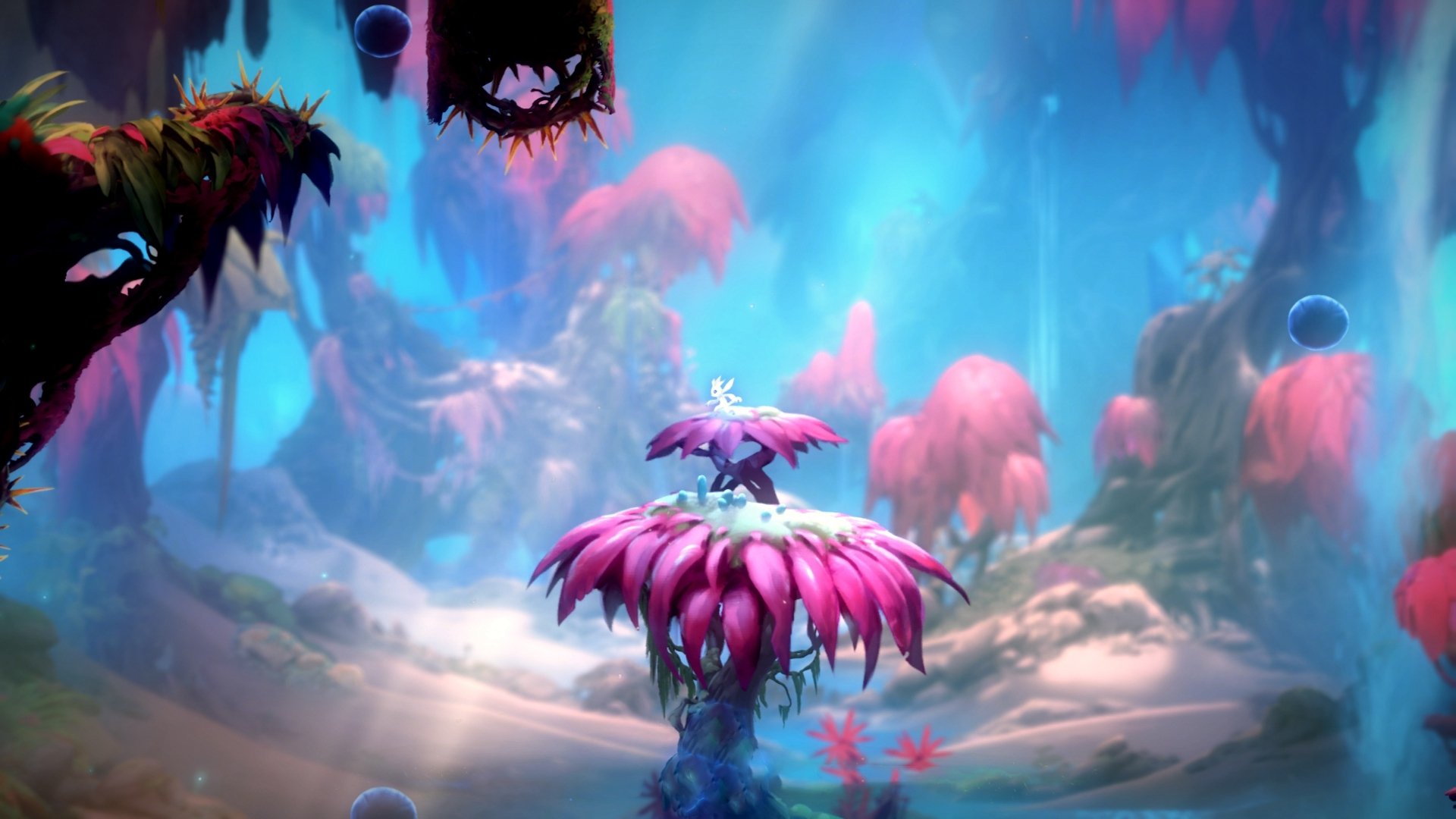 墨西哥马术协会授予卡洛斯·汉克“年度最佳盛装舞步骑手”称号。